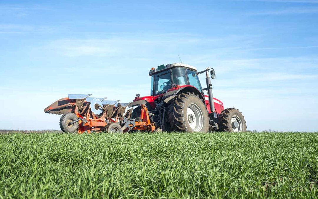 Los 5 errores más comunes en la agricultura actual